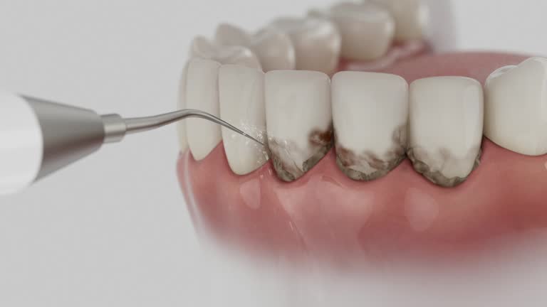 Reliable Dental contractor in Harrington, DE by Dentist Open Now